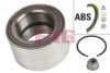 FAG 713 6450 40 Wheel Bearing Kit